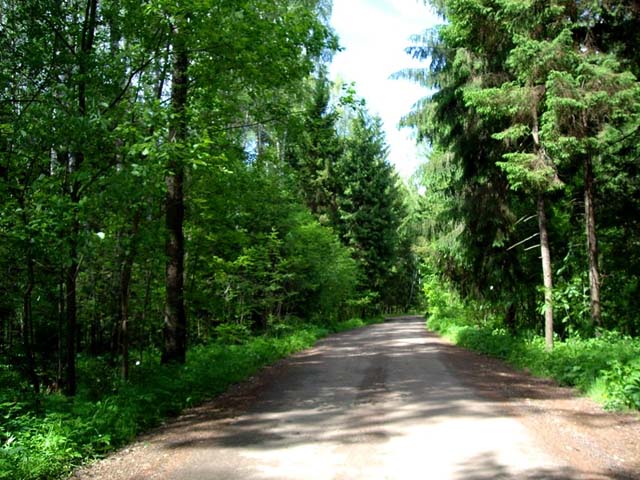 дача в Петрищево в Подмосковье
