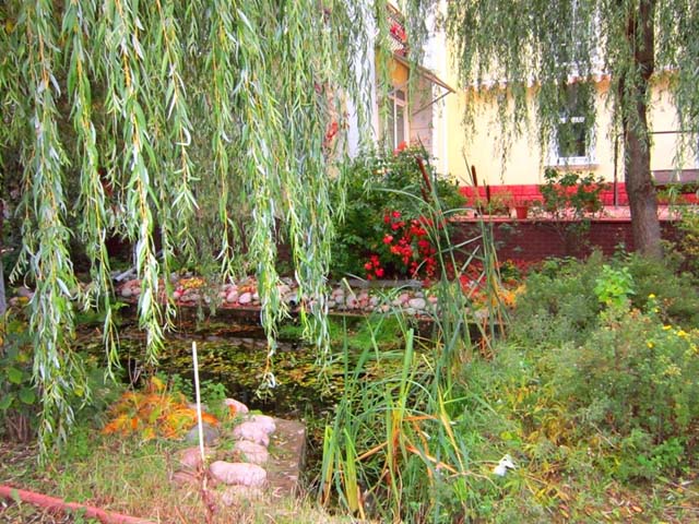 купить жилой коттедж в Лесном Городке продажа в Подмосковье